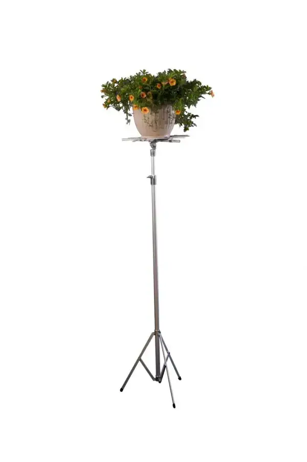 Assorted Folding Top L-33 Set - Display Stand Value Bundle - Image 7