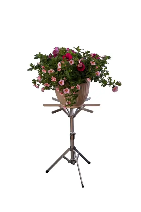 Assorted Folding Top L-33 Set - Display Stand Value Bundle - Image 6
