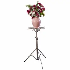 Assorted Folding Top L-33 Set - Display Stand Value Bundle