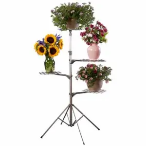 Portable Short Adjustable Deluxe O-3 Combo Stand Value Bundle