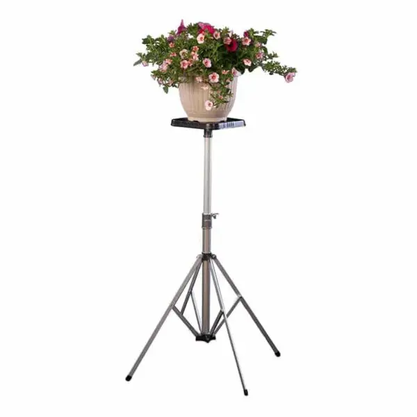 Set of 2 Short Deluxe "D" Stands w/ 8" Top - Image 3