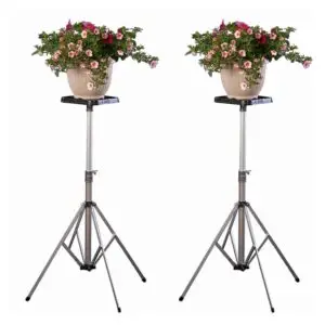 Set of 2 Short Deluxe "D" Stands w/ 8" Top