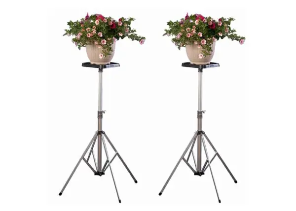 Set of 2 Short Deluxe "D" Stands w/ 8" Top