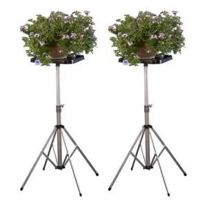 Set of 2 Deluxe “D” Stand