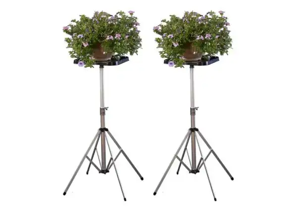 Set of 2 Deluxe “D” Stand