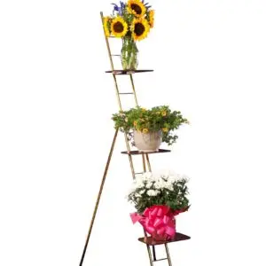 Portable 75" Ladder Rack Value w/8"x12" Shelves Bundle