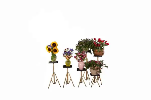 6 Shortest Gold Stands w/8"tops (Value Bundle)