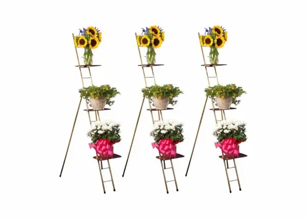 Set of 3 Portable Ladder Rack Shelves Value Bundle
