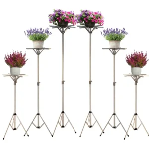 Large Folding Top Display Stands (L-Top) — Set of Six