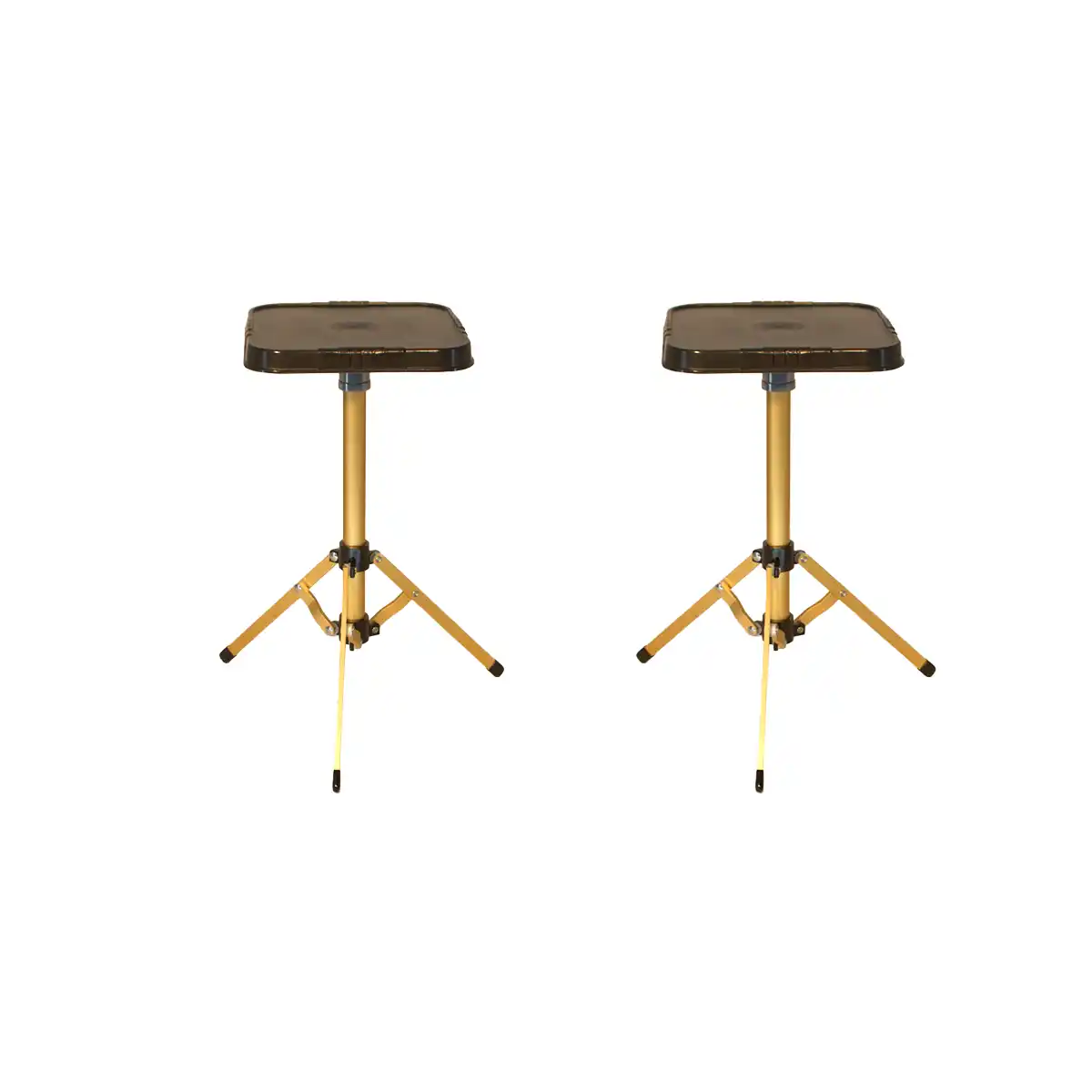 Set of Two Basic Gold Stands - Image 2